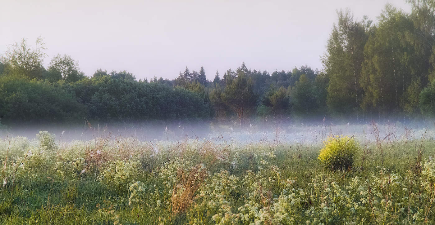 "А рассвет уже всё заметнее..."
