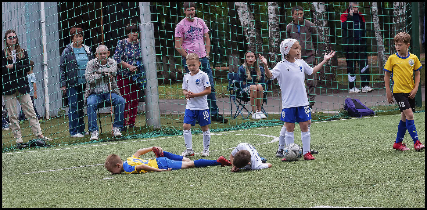 Я их не трогала!