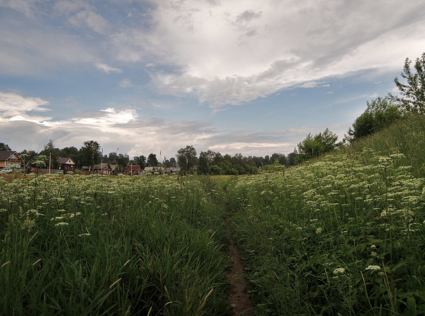 тропинка в Лето