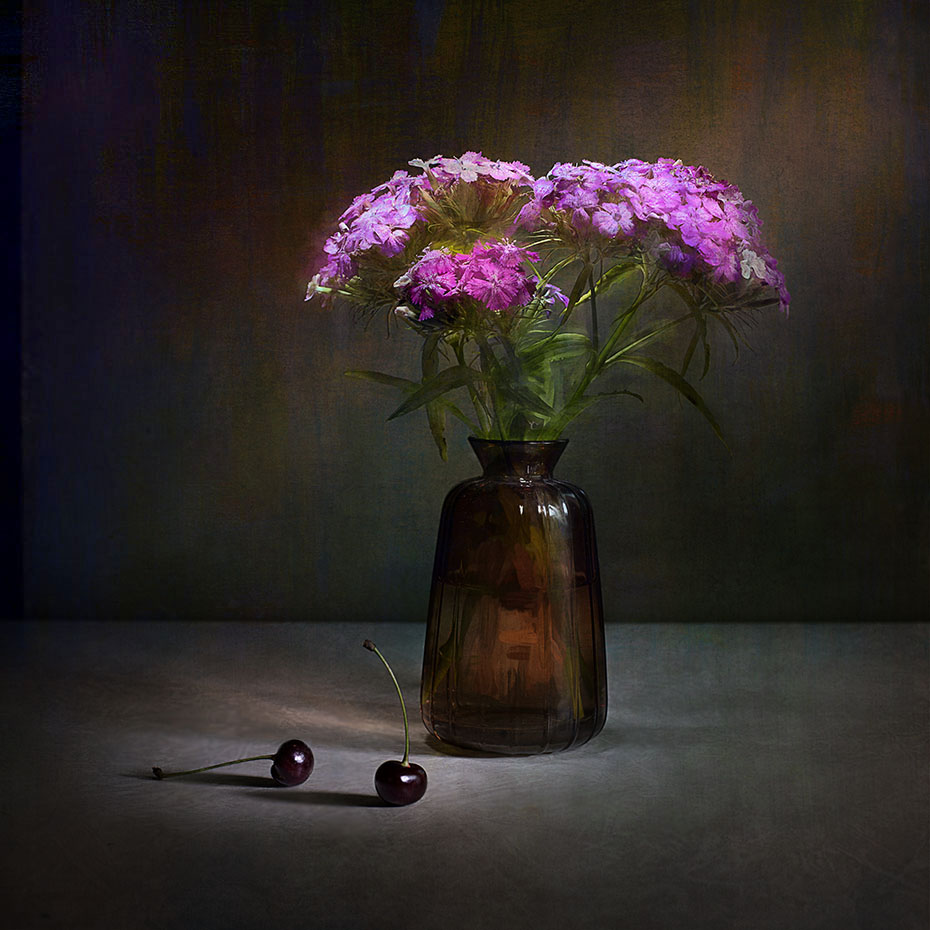 этюд с гвоздикой