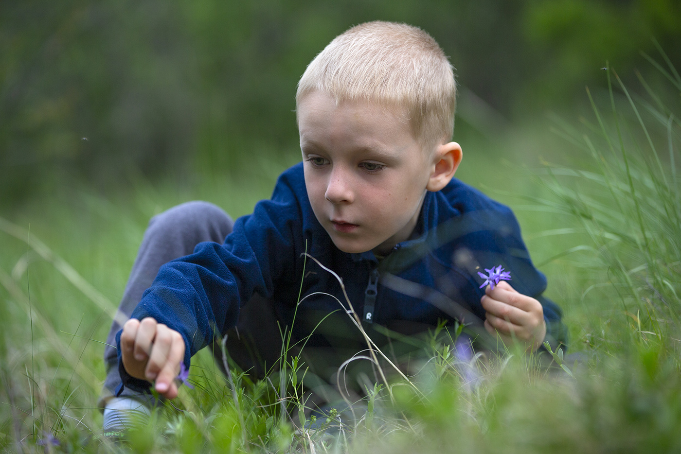 О, сколько нам открытий чудных...