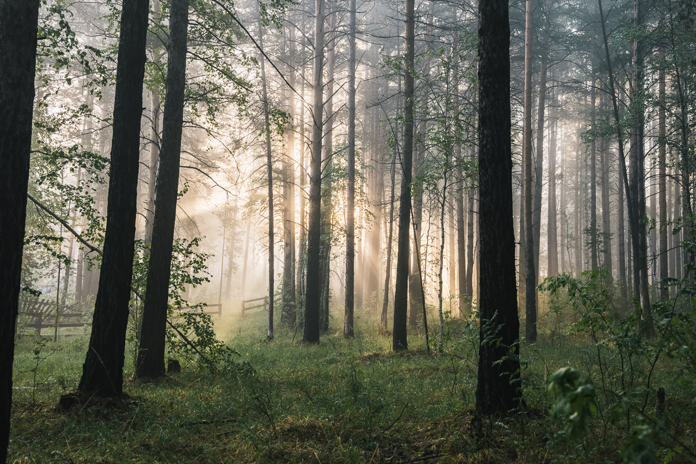 Спасибо за утро такое...