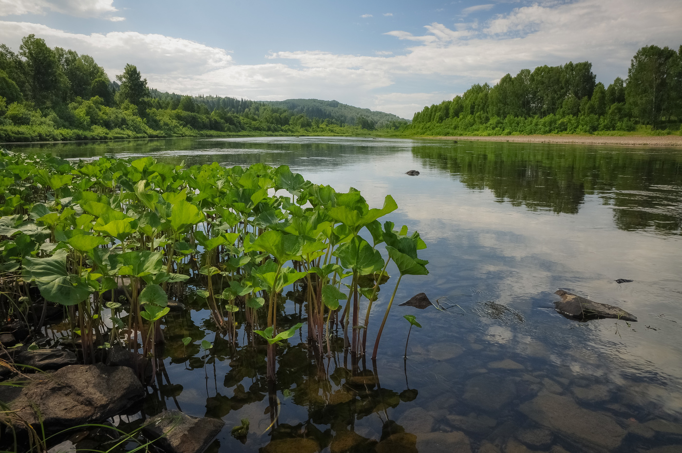Июль. На реке Кондома