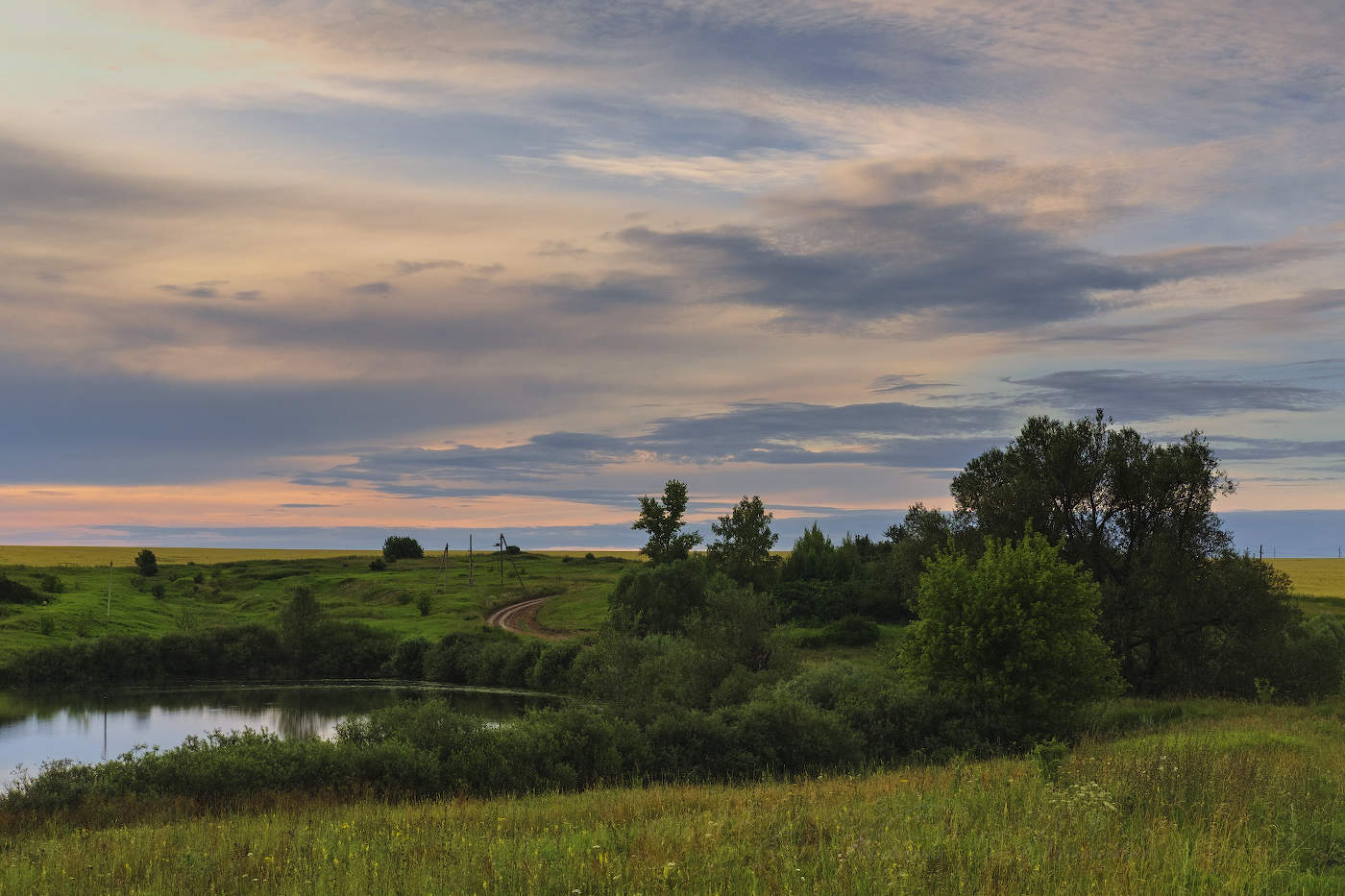 Вечером у пруда