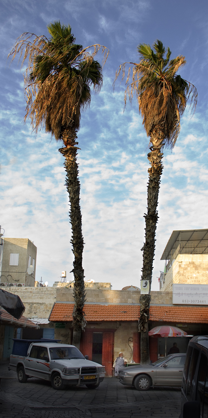 Обитатели земли обетованной - 14