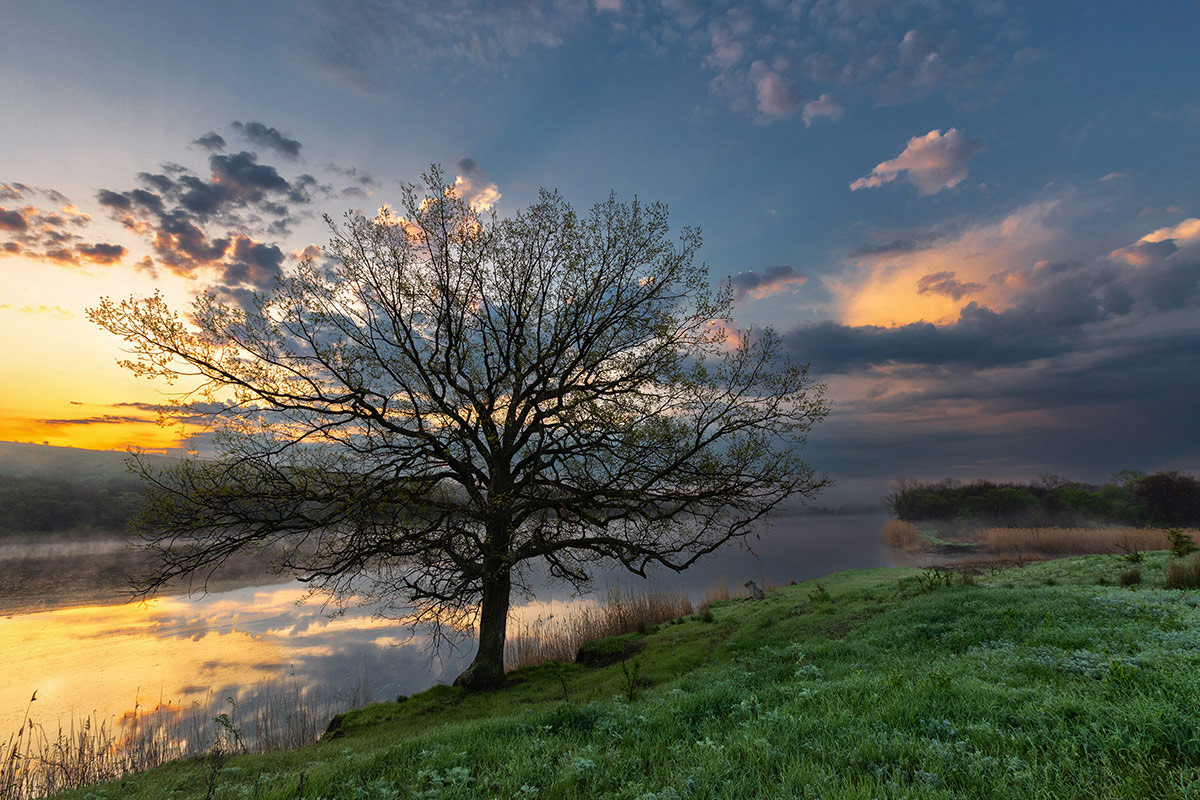 На рассветном берегу