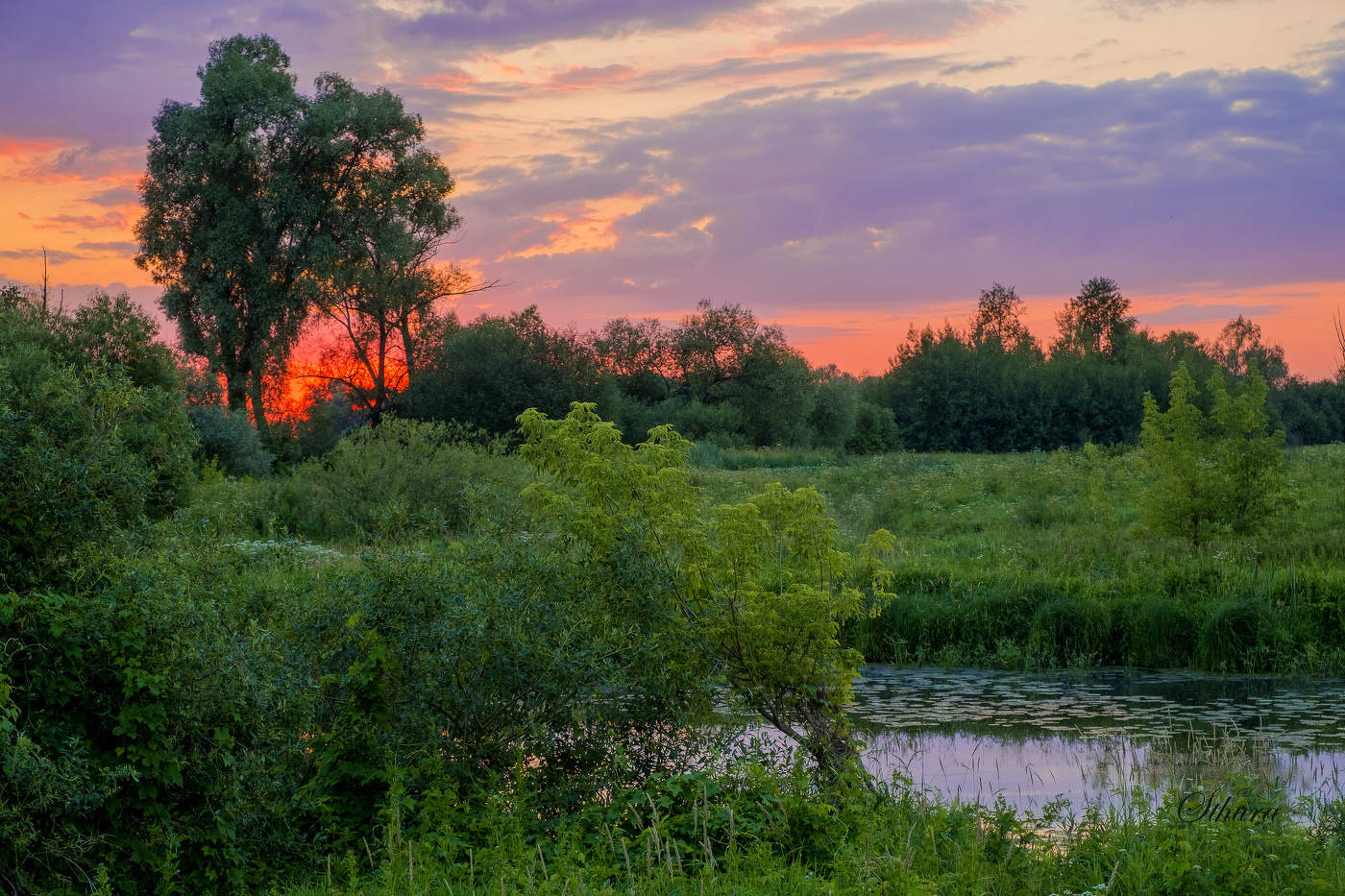 Летний закат.