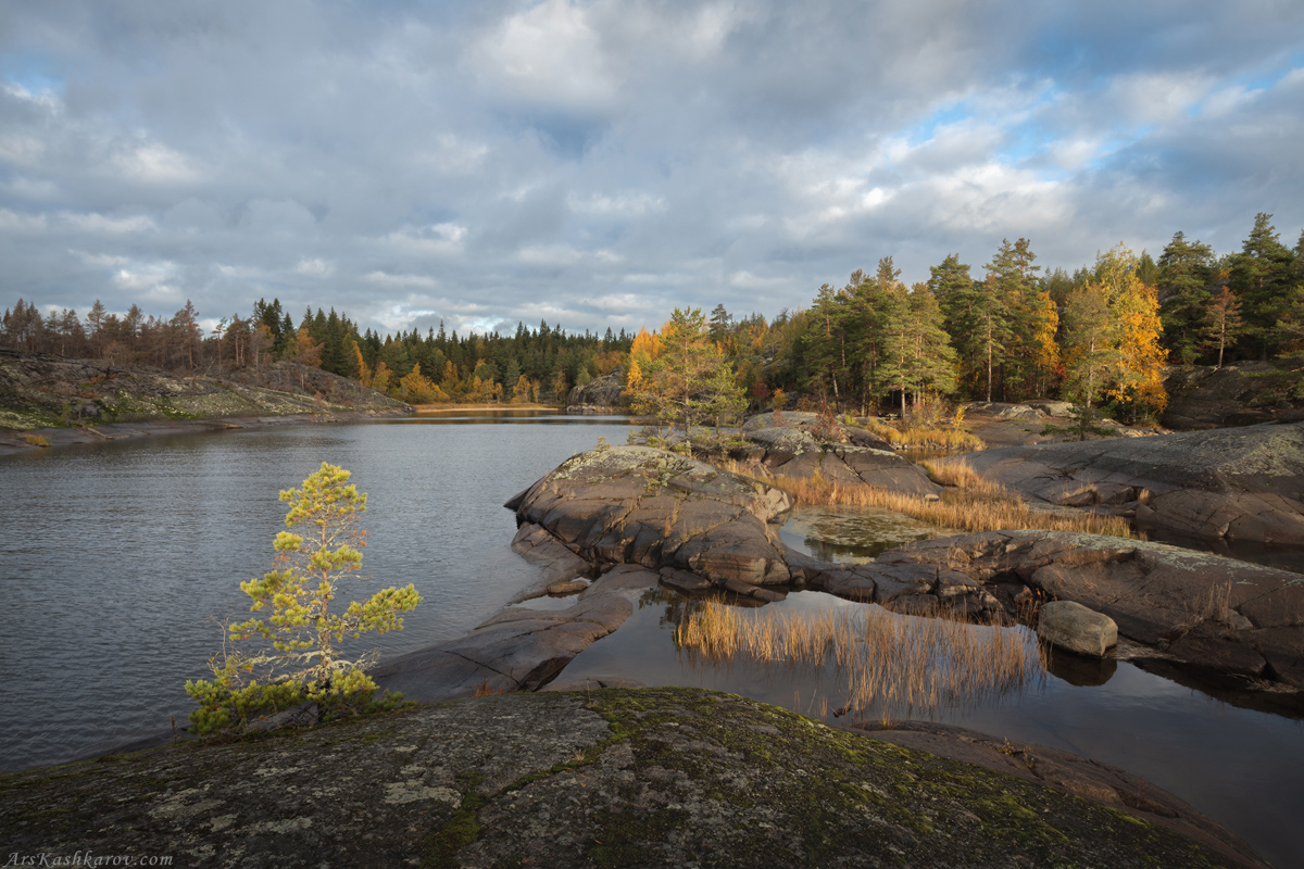 "Настроение уходящей осени"