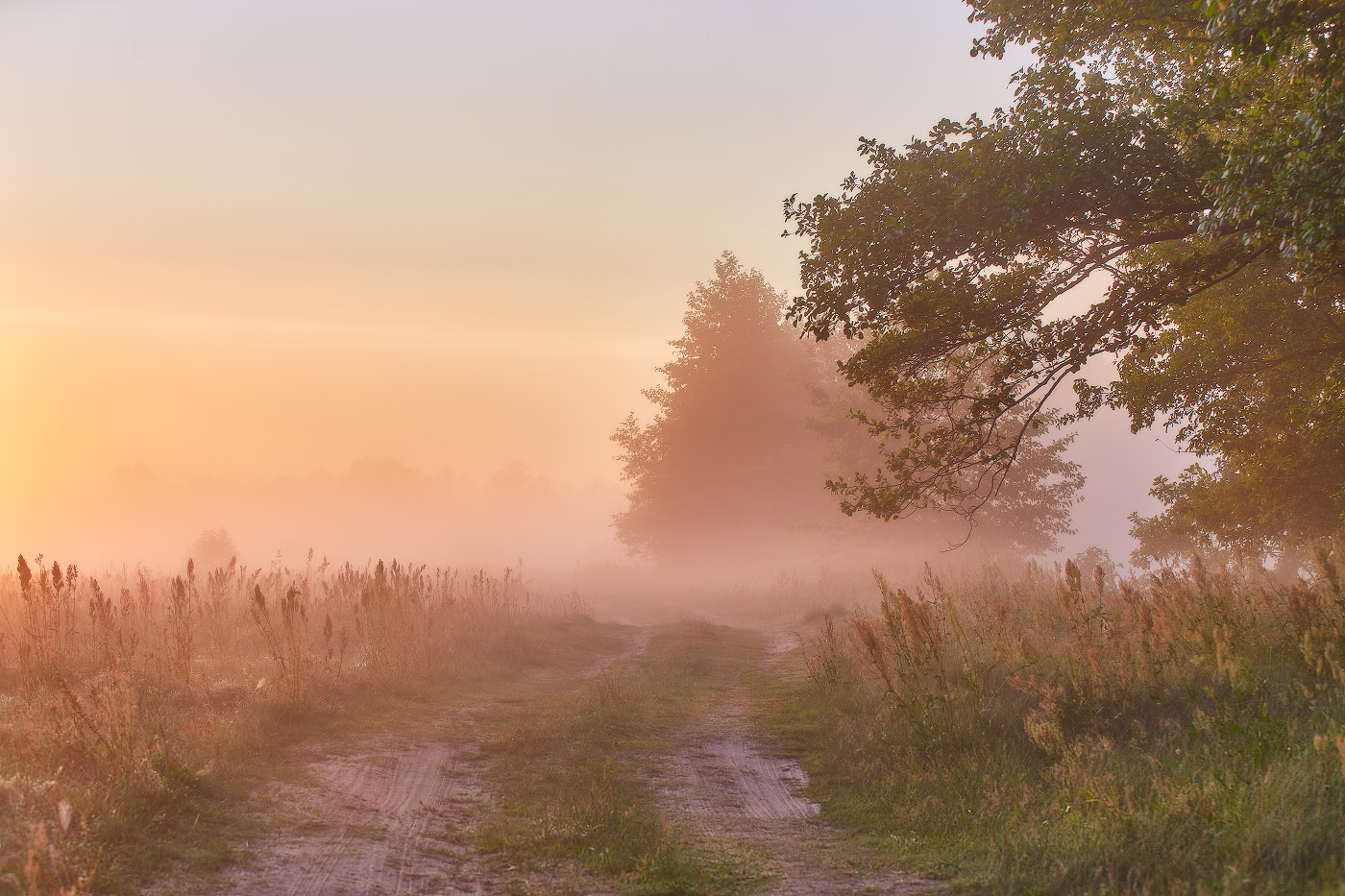 Утро Июля. Дорога вдоль Немана
