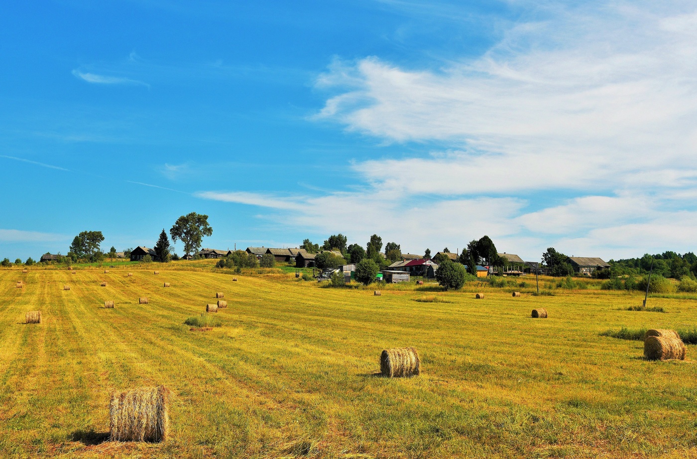 Лето в деревне ...