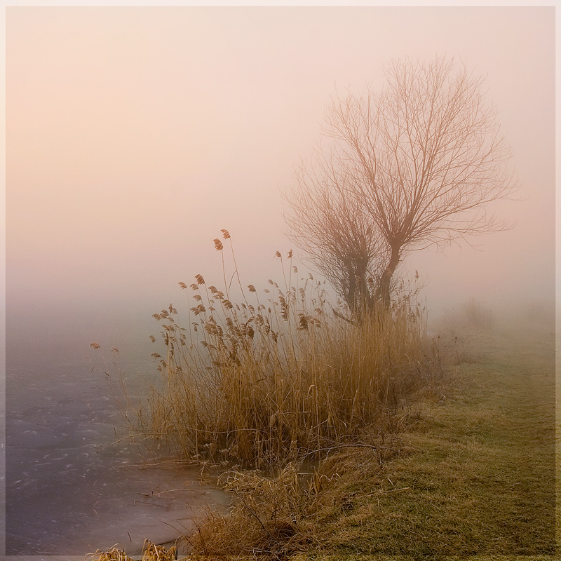 Зимняя нереальность