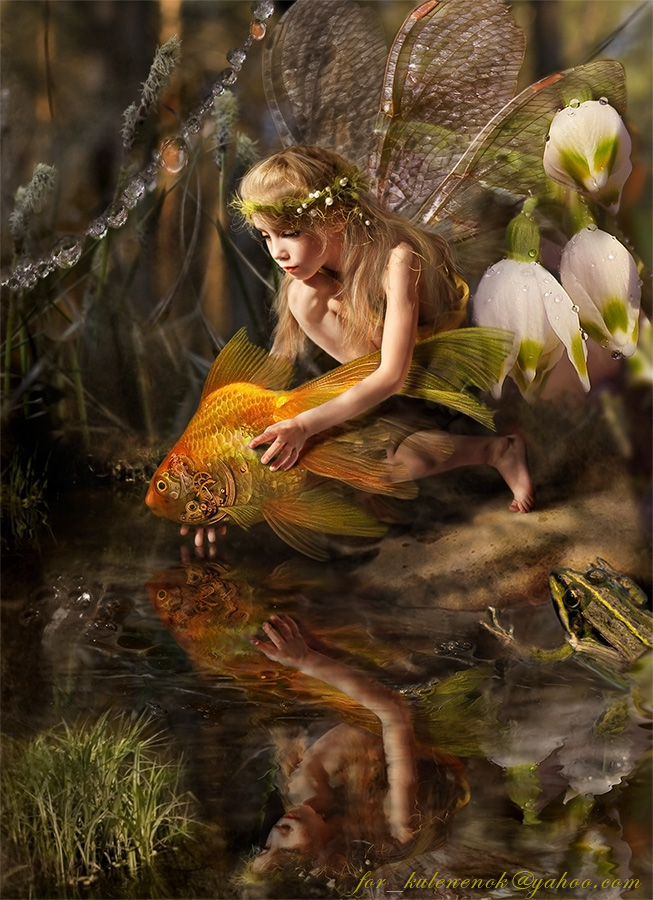 Эльф и золотая рыбка или три желания.