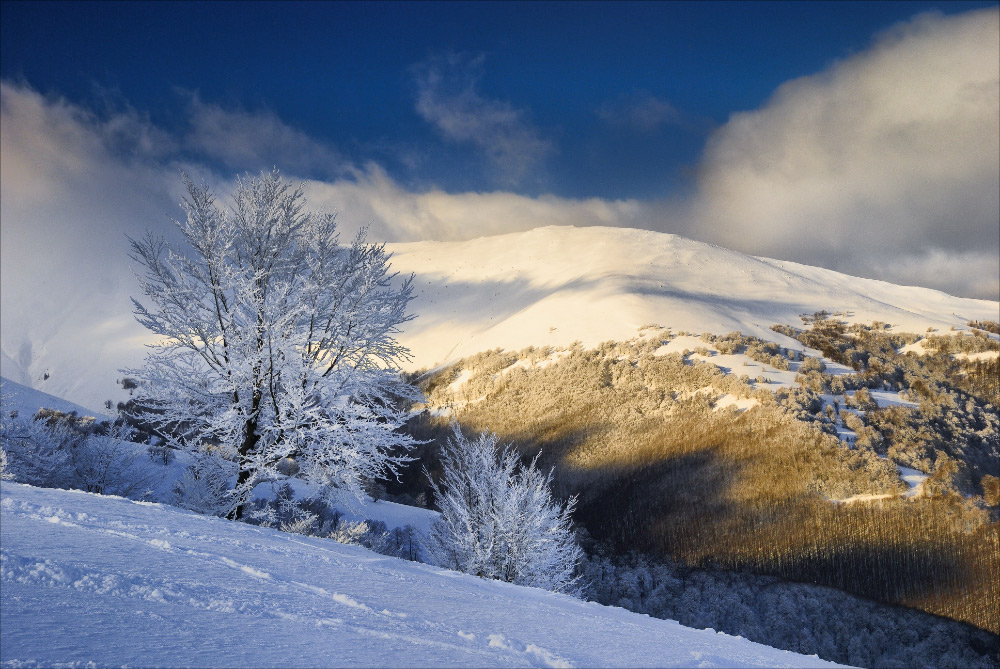 Воспоминания о зиме