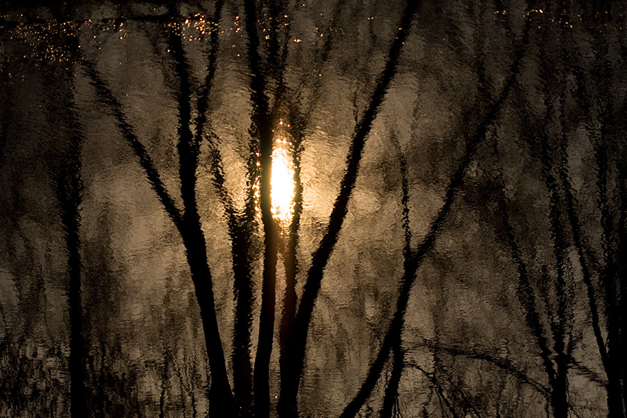 Пойманное солнце