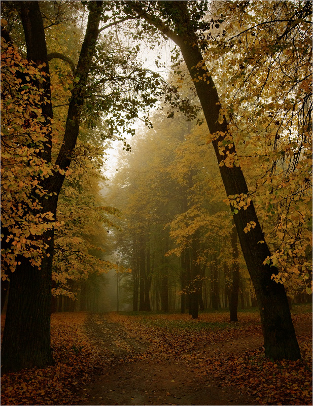 Немного про осень