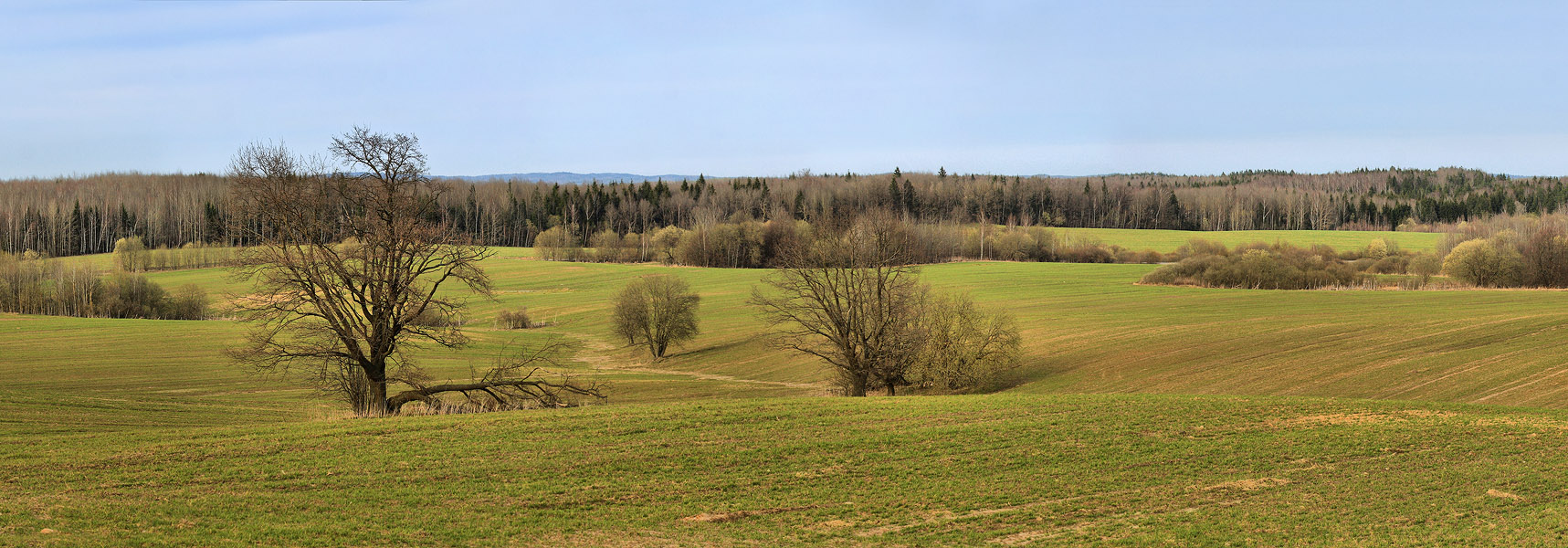 Апрельская Прозрачная