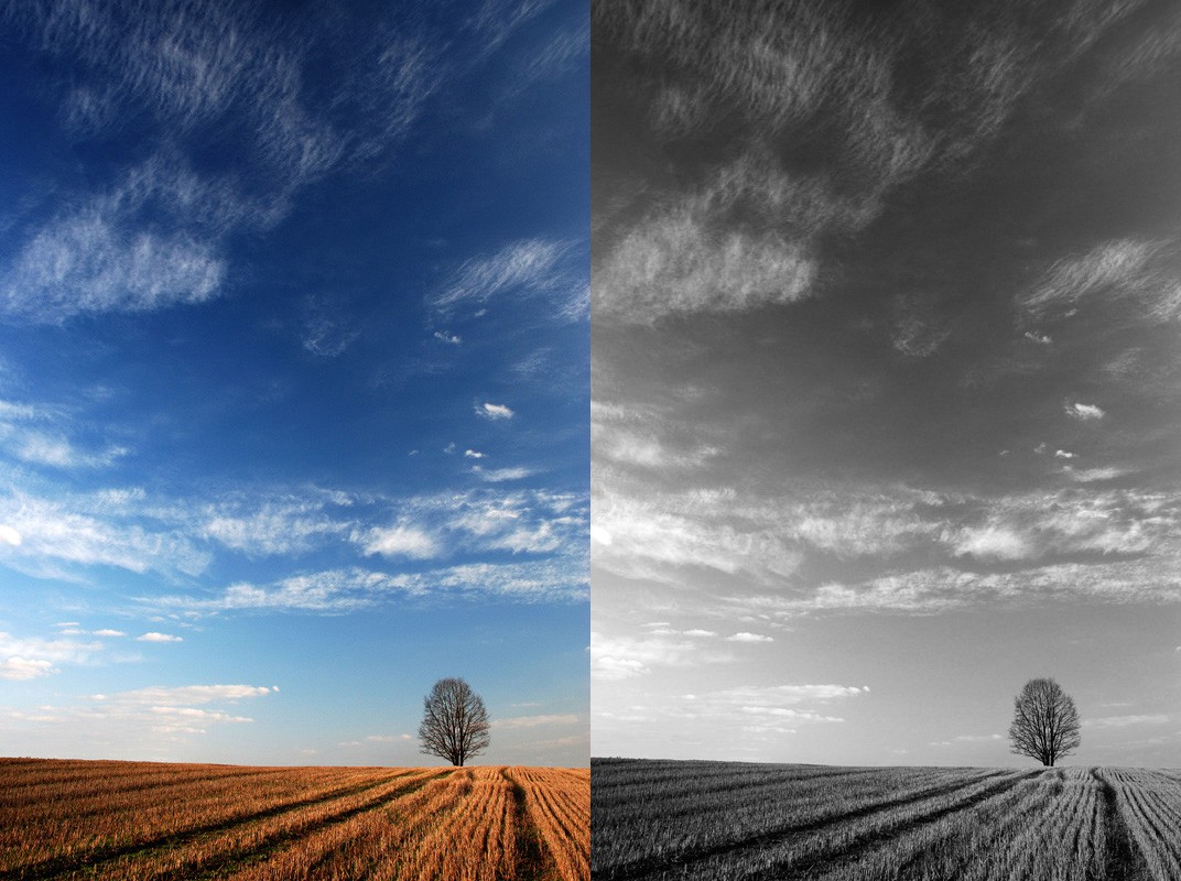 В цвете или ч/б ?