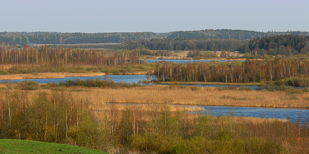 Весна. Сарнацкое.