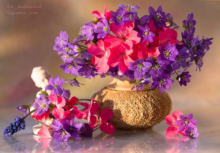 Весенний ноктюрн