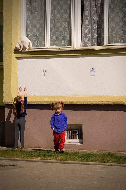 Ребята и зверята