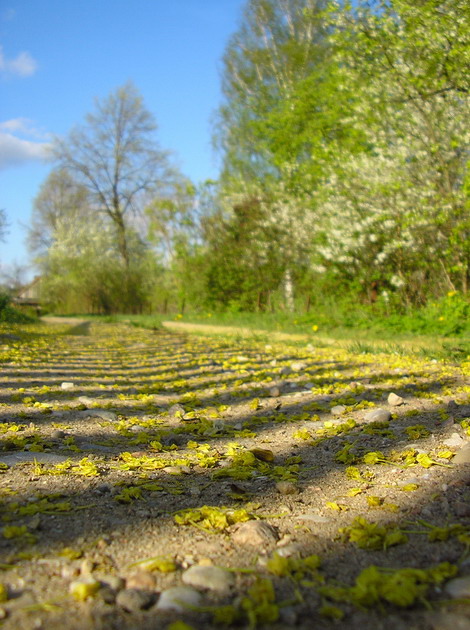 весна в деревне