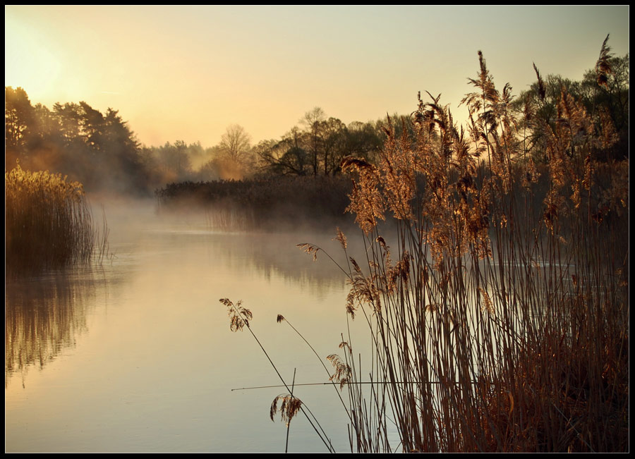 Пробуждение...