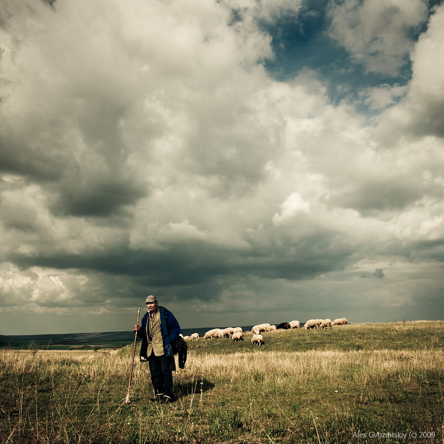 Крымский пастух