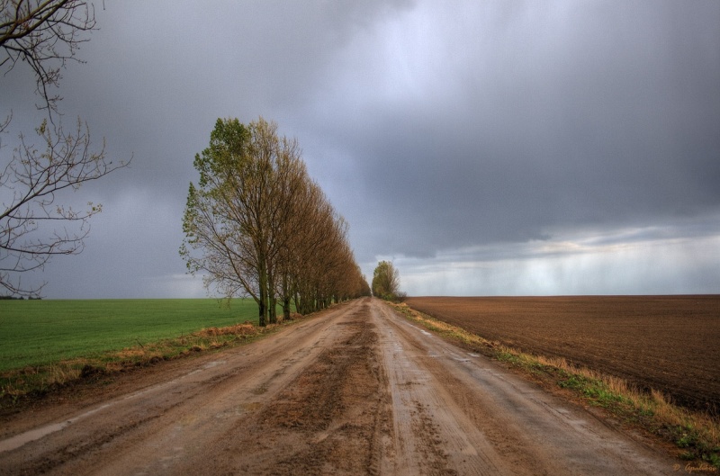 Мерная поступь весны..
