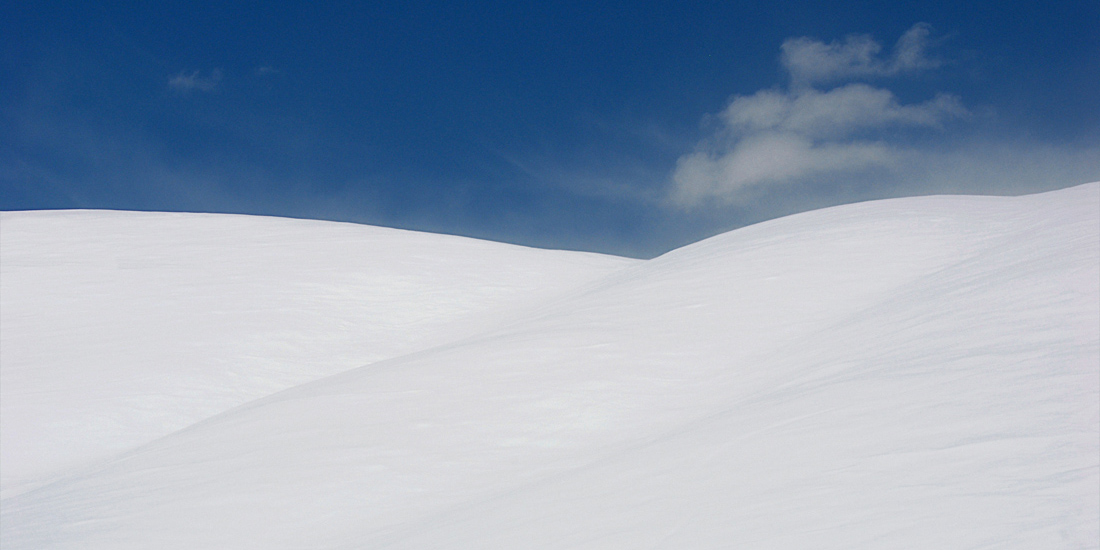 Цвет и линия V