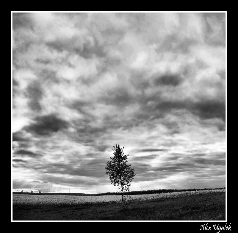 ................Душевная..............