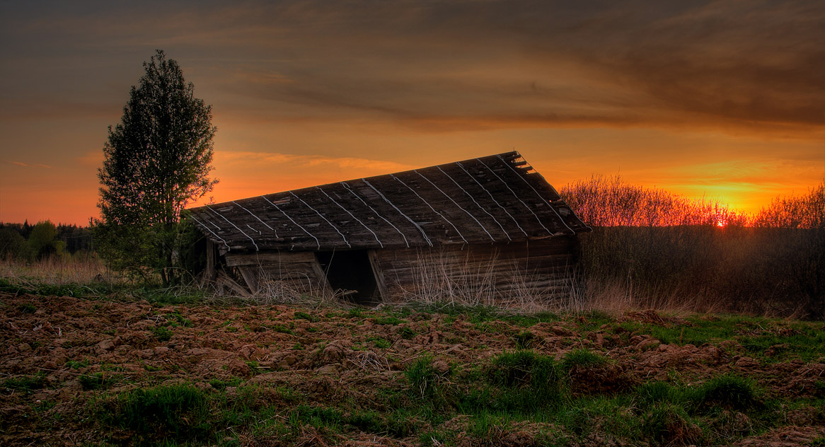 "весенний закат"