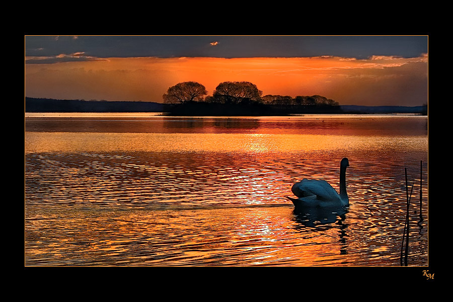 "Стала пуганной птица удачи.."