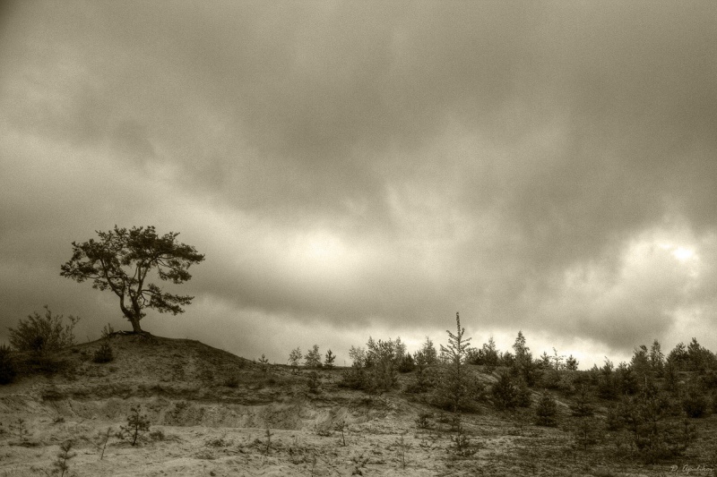 |   Одинокое..   |