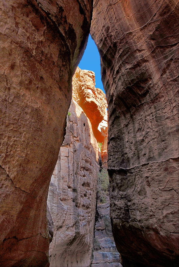 Цвет и линия VI