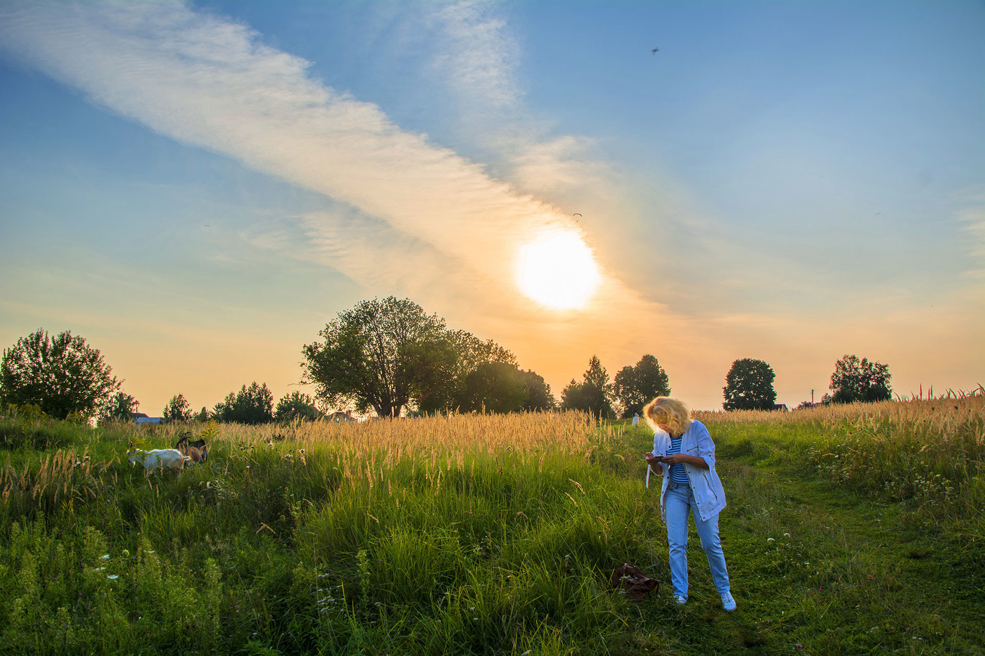 Вечереет. Звонок.