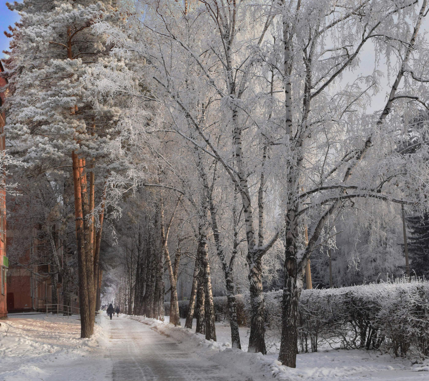 Морской проспект зимой