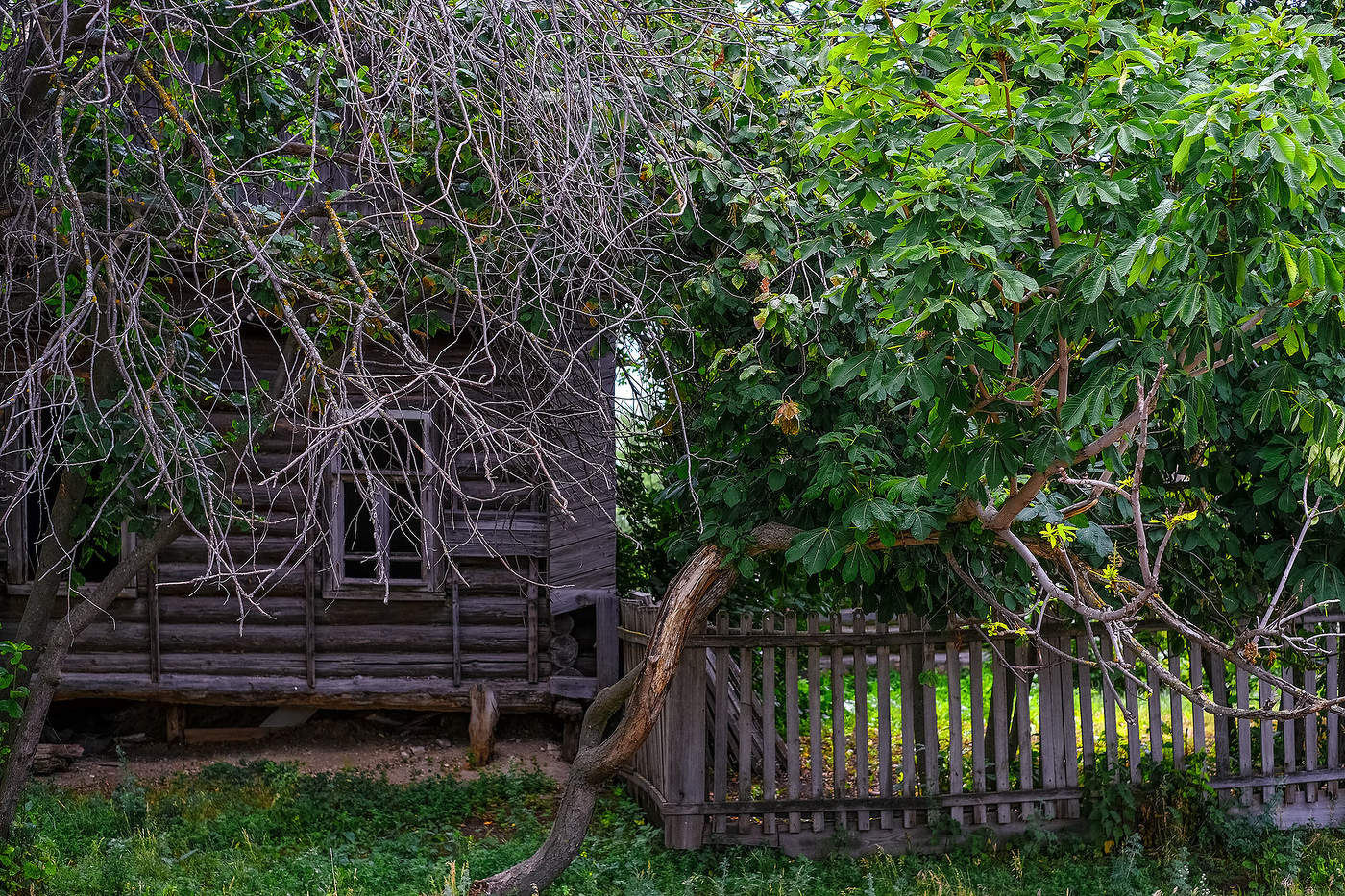 Домик в деревне...