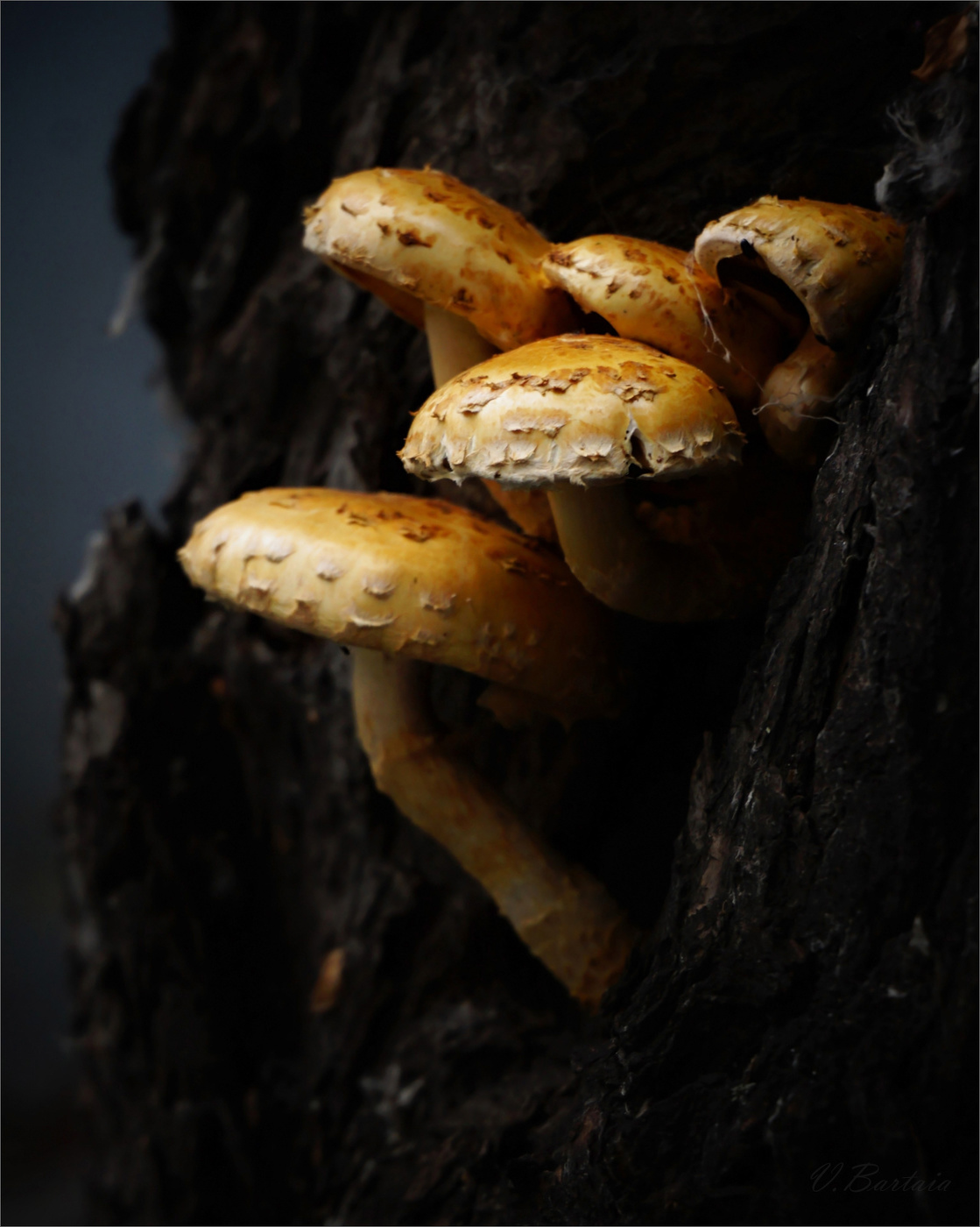 Хорошо устроились