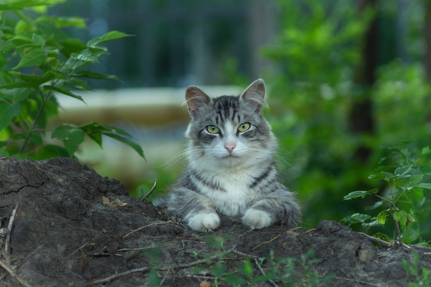 "Фото на паспорт"