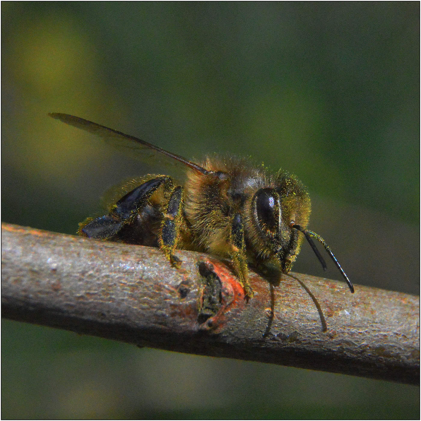 Согрей меня...