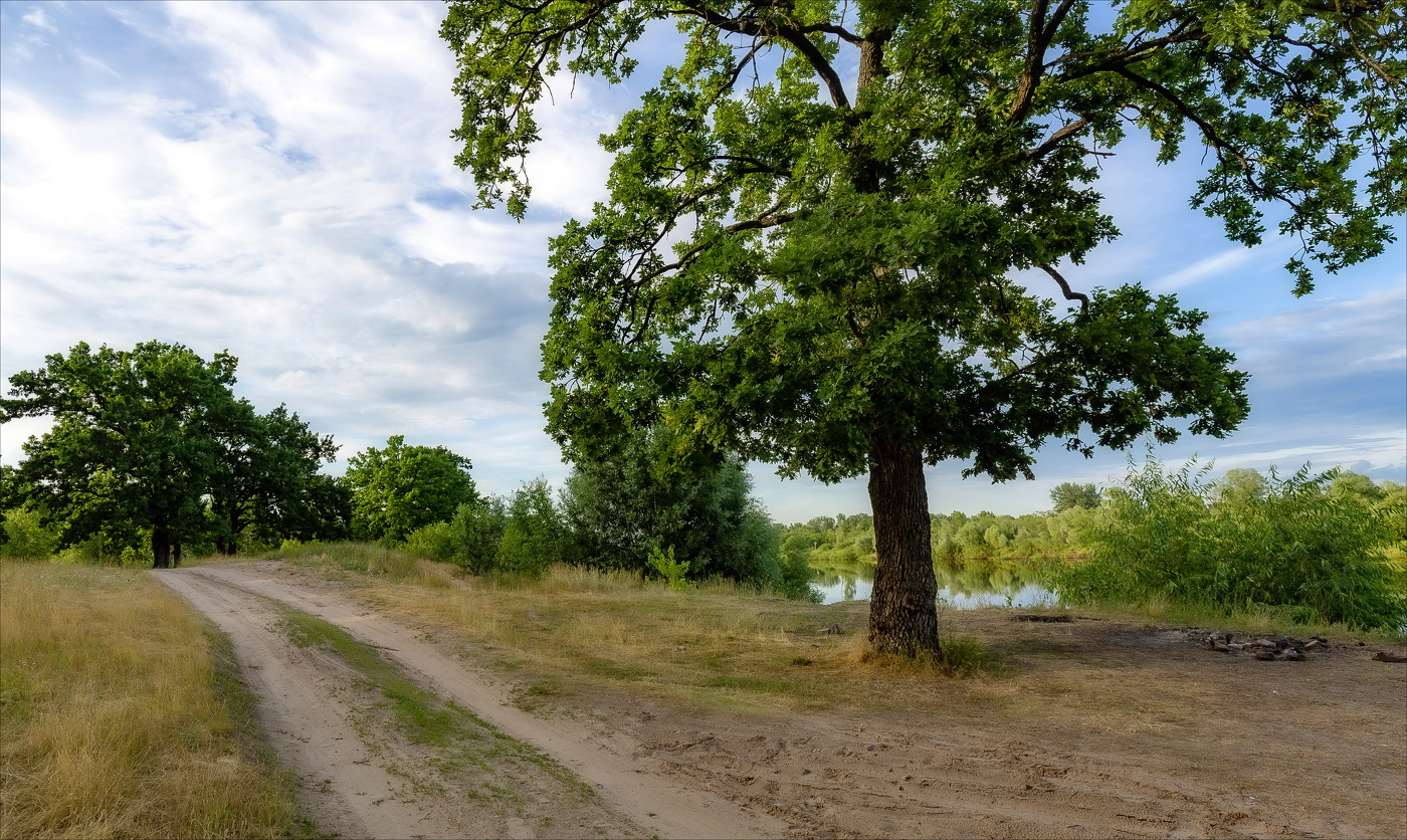 КАК ПРЕКРАСНЫ ЛЕТНИЕ ДОРОГИ...