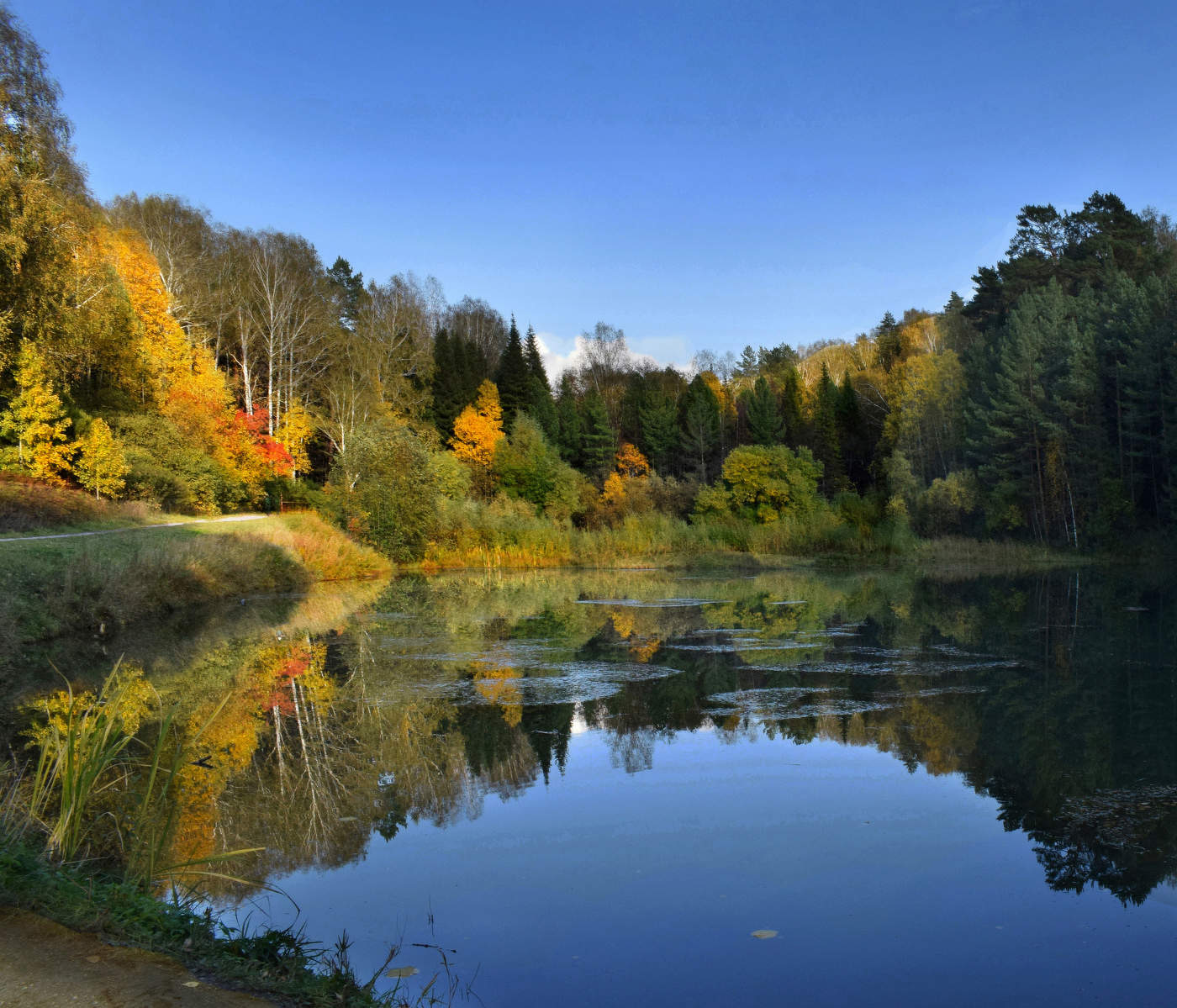 Осенний пруд