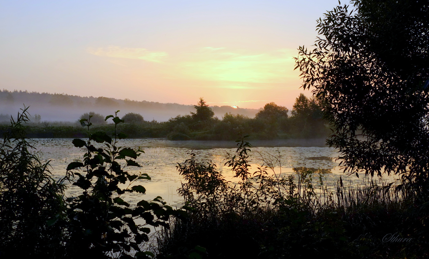 Утро на озере.