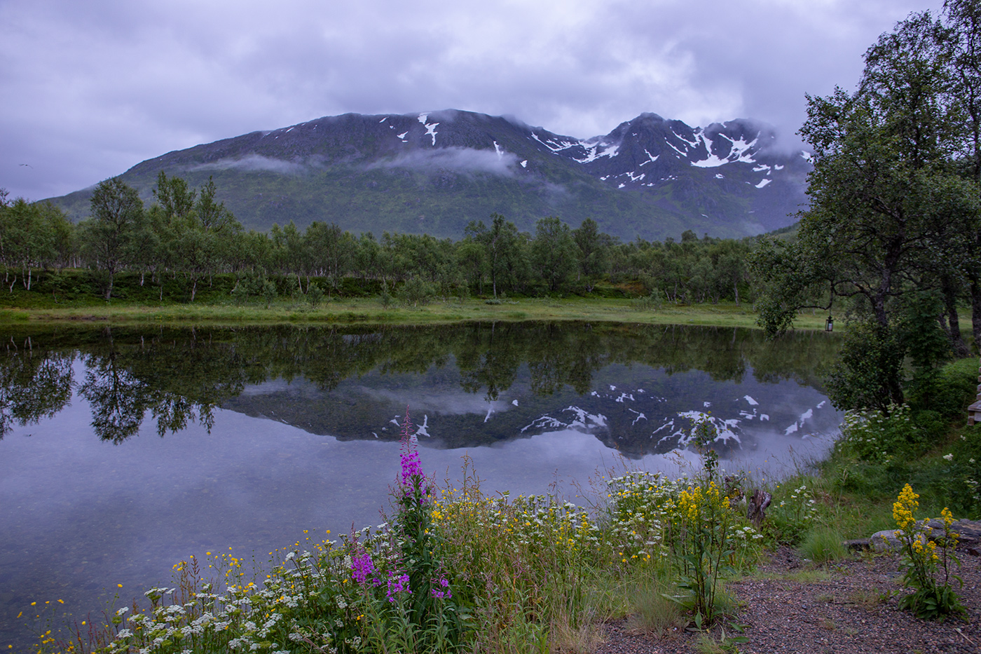 Северное лето