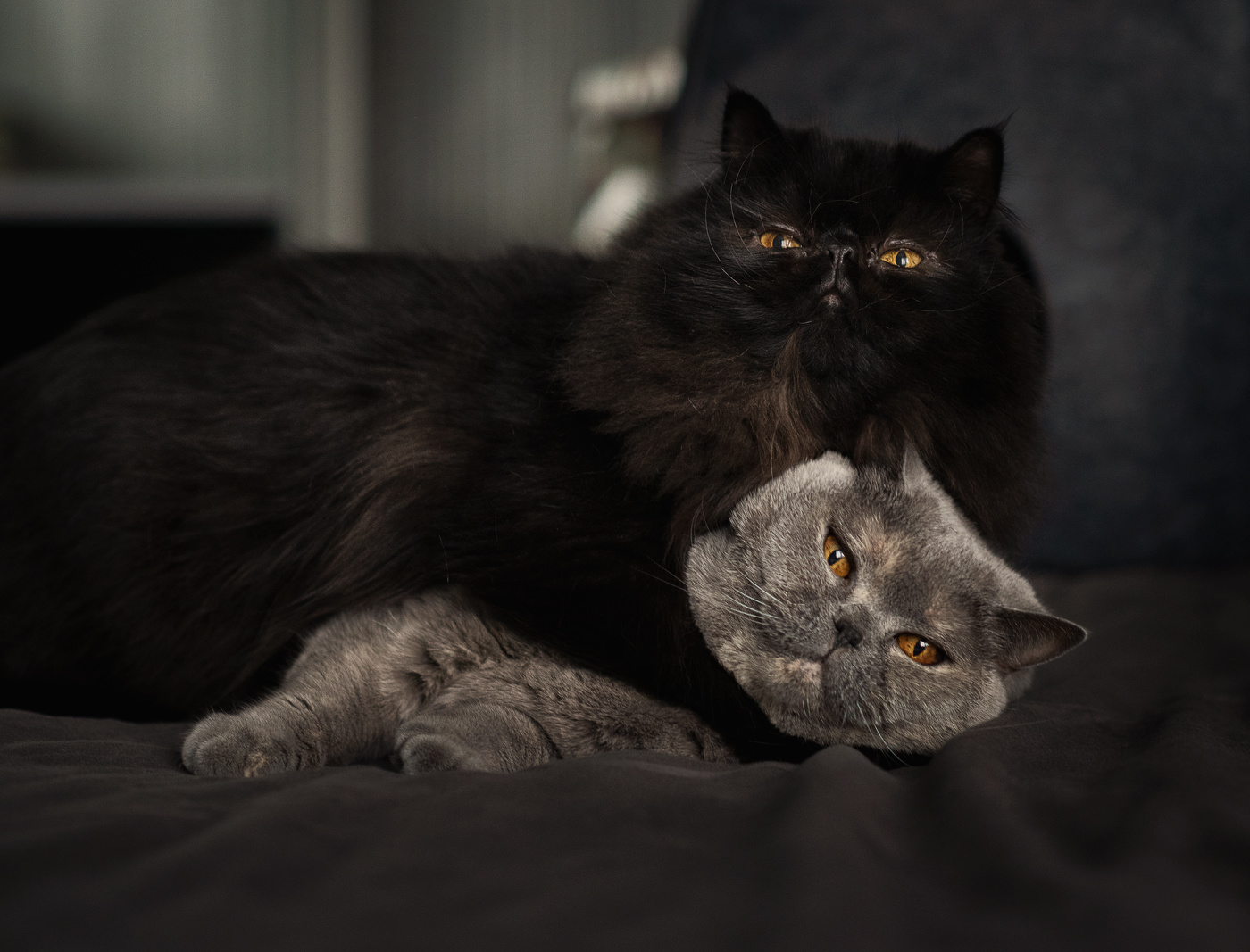 Фотай, пока держу!