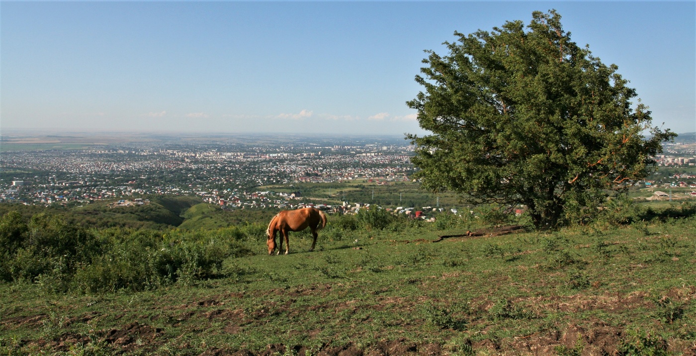 Вдали от шума городского ...