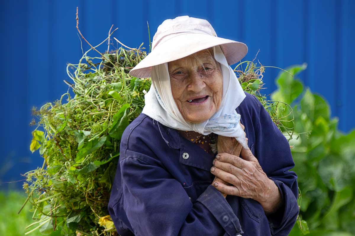 Вы подарили мне портрет