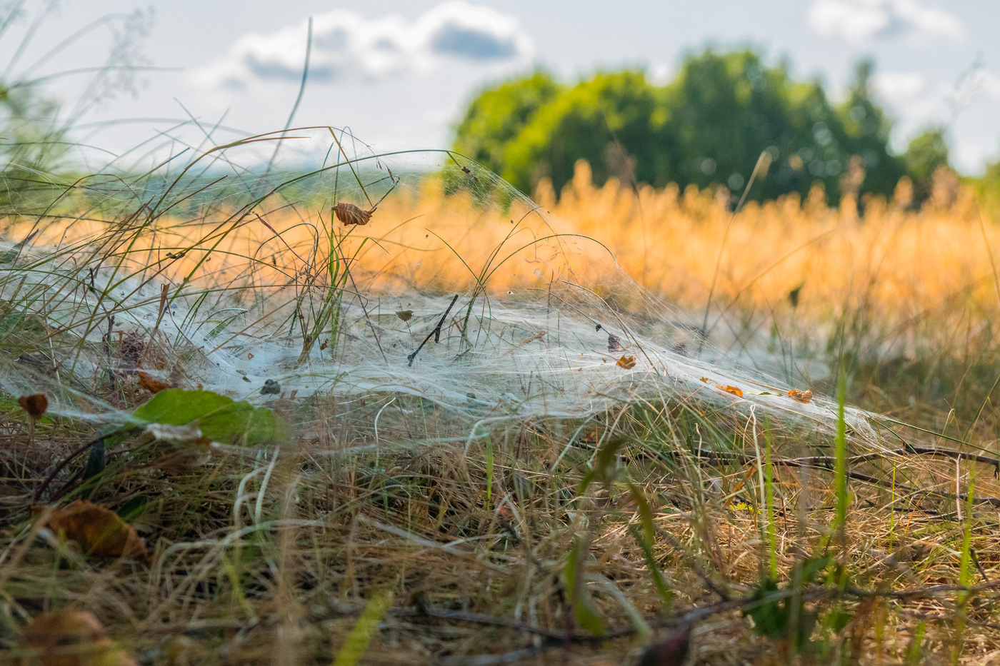 Жаркий июль