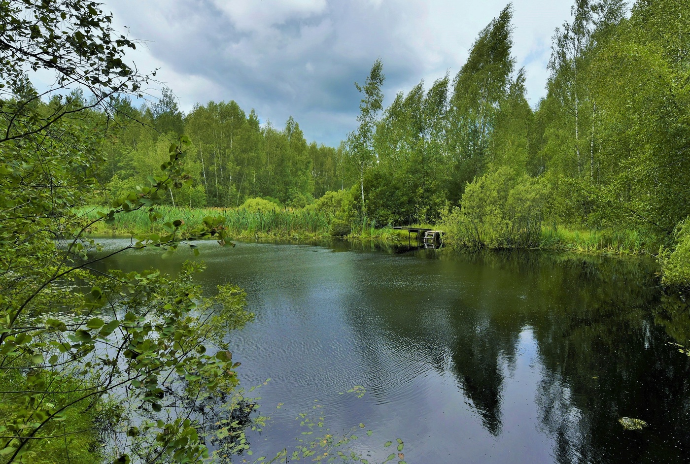"Гладь пруда рябая от простуды ветра-сквозняка..."