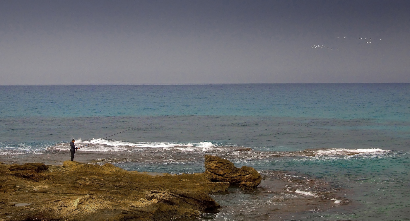 Обитатели земли обетованной - 15